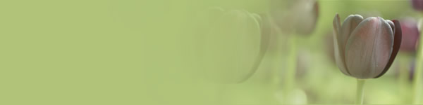 green-flower.jpg