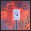 Prescribed fire