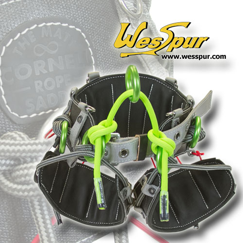 WesSpur PPE 15% off Sale, New Matt Cornell Rope Saddle, Tango Review ...
