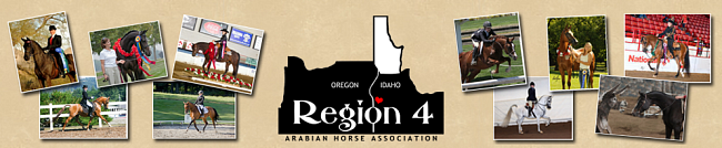 AHA Region 4 Logo