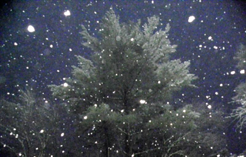 First Snowfall ~ Sue Basile