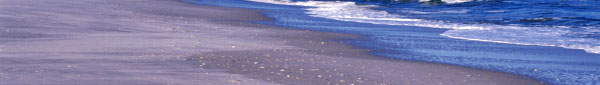 ocean-shore.jpg