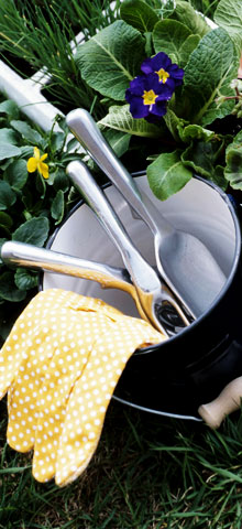 gardening-bucket.jpg