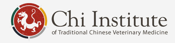 Chi Institute logo
