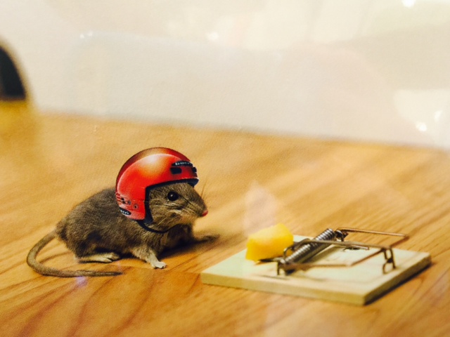 Mighty Mouse
