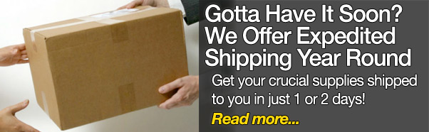 Got a crucial deadline - expedited shipping year round