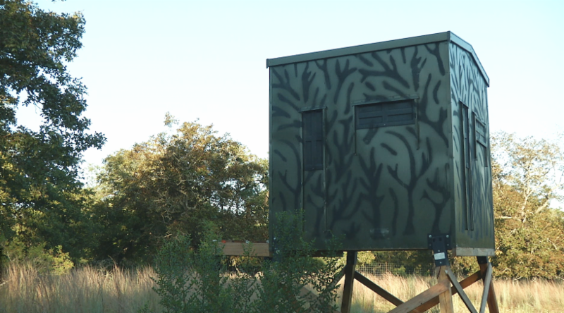 FIVE Reasons To Hunt Texas Hidden Springs Ranch