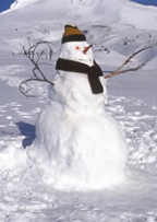 solo-snowman.jpg