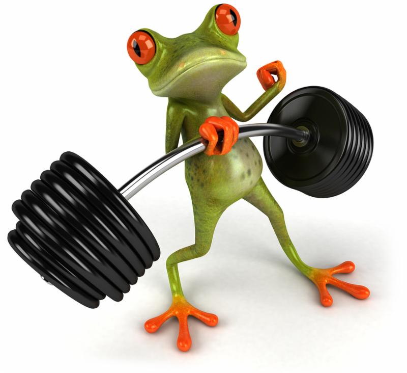 Frog