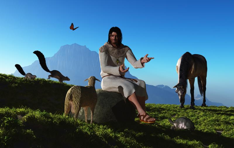 Jesus is talking to animals in nature.