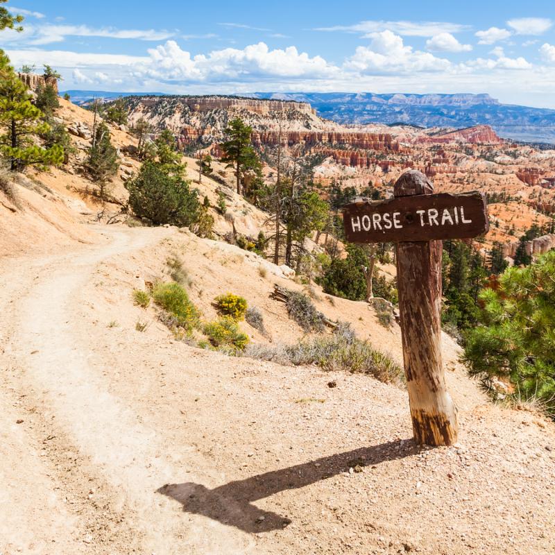 Horse Trail sight at Bryce Canyon USA