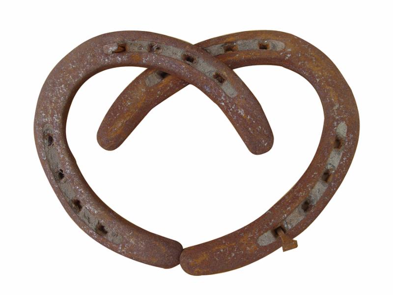 Heart Shape Horse Shoe with white background