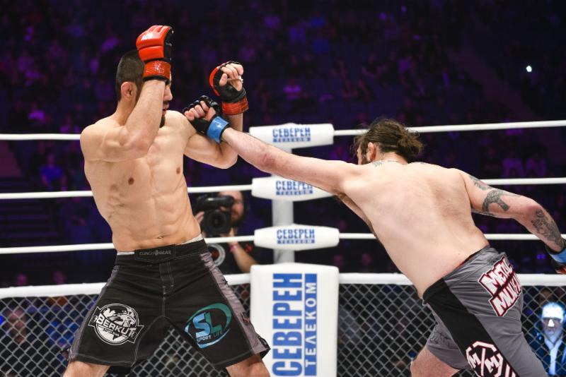 983a1283 7b8d 49be 93de 62698e0da40c