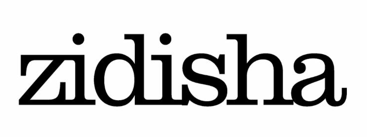 Zidisha logo