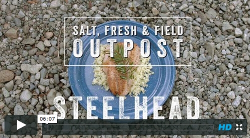 Salt Fresh & Field Video