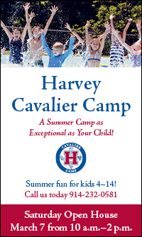 Harvey Cavalier Camp