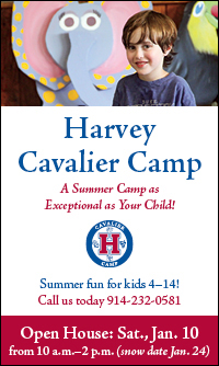 Harvey Cavalier Camp