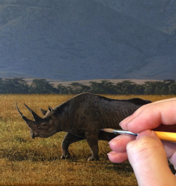 Rhino by Adam Smith