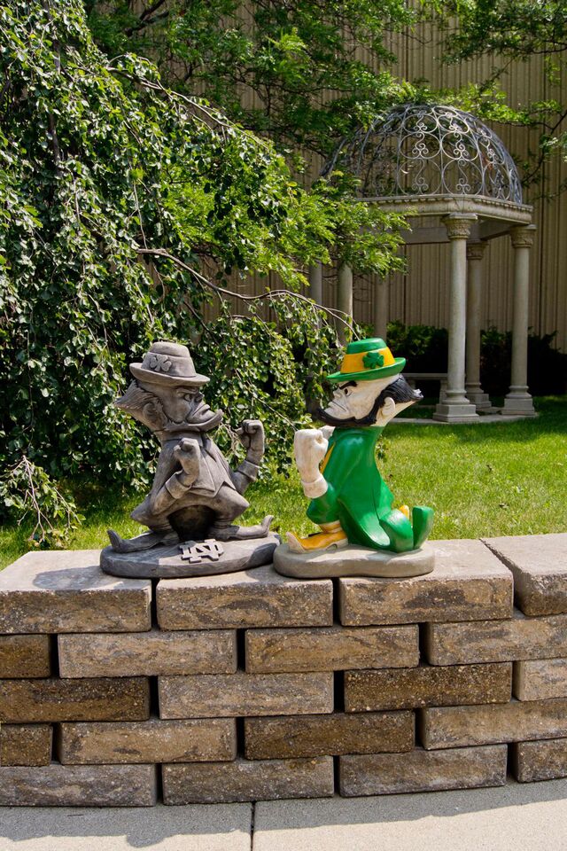 Notre Dame Fightin' Irish