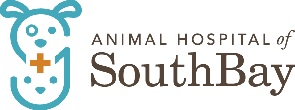 Animal Hospital of South Bay