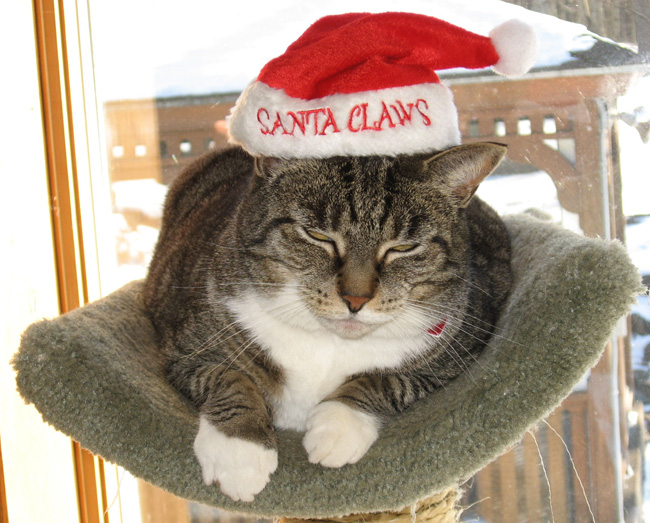 Santa Claws