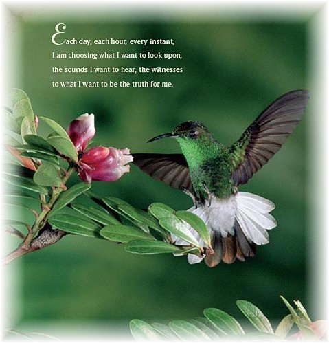 2015 ACIM Calendar