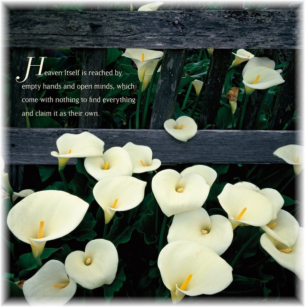 ACIM Calendar 