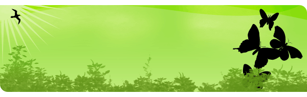 butterfly-trees-header.gif