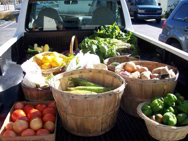 Senior Veggie Mobile
